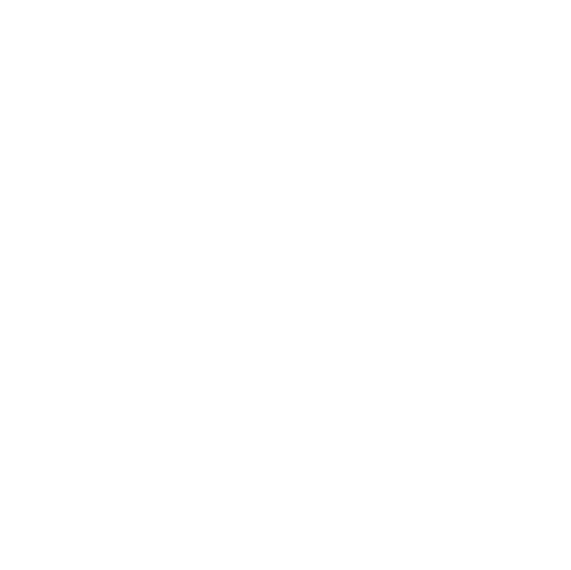 Toros Capital